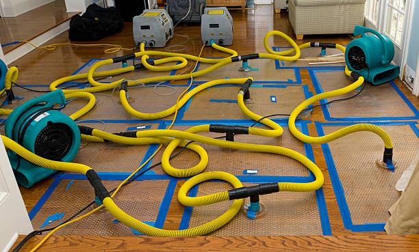 Professional Water Damage Repair technician working in Kempner, TX